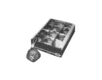 IMPA手冊 編號550336除臭球(圖1)