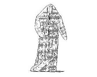 IMPA手冊 編號330175防寒防水救生服(圖1)
