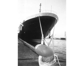 IMPA手冊(cè) 編號(hào)211558陸海兩用8股纜繩(圖1)