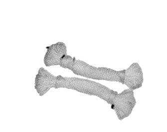 IMPA手冊 編號211412丙綸雙股細繩(圖1)