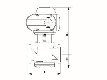 EDRV動態(tài)電動平衡閥(圖2)