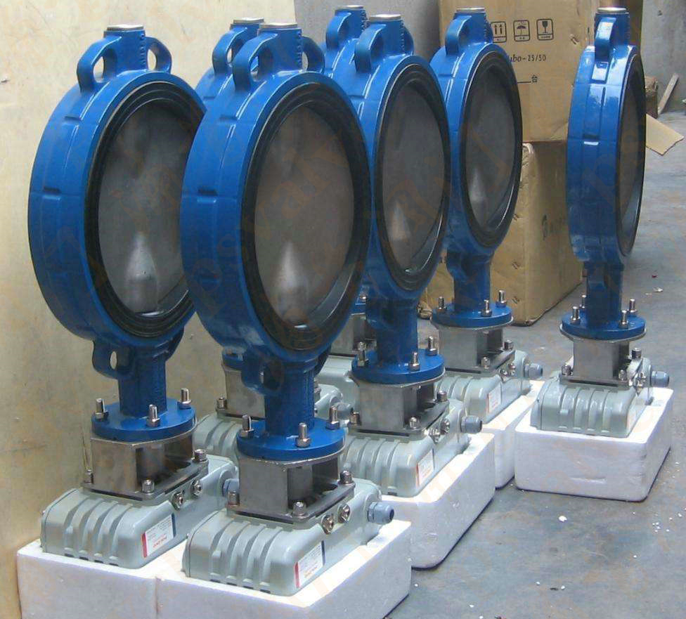 電動(dòng)脫硫蝶閥(圖1)