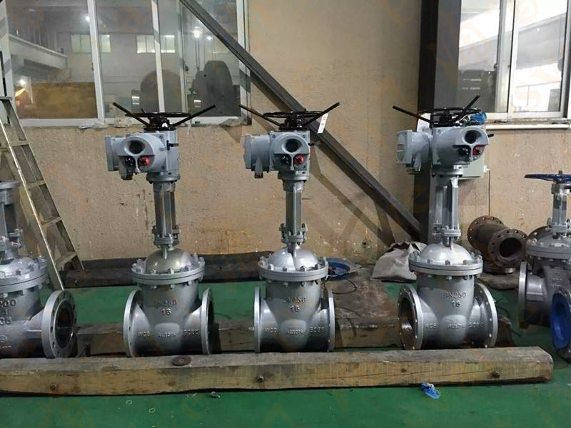 電動(dòng)閘閥(圖2)