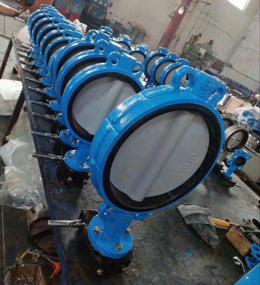 軟密封蝶閥(圖1)