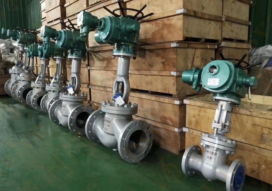 電動(dòng)閘閥(圖1)