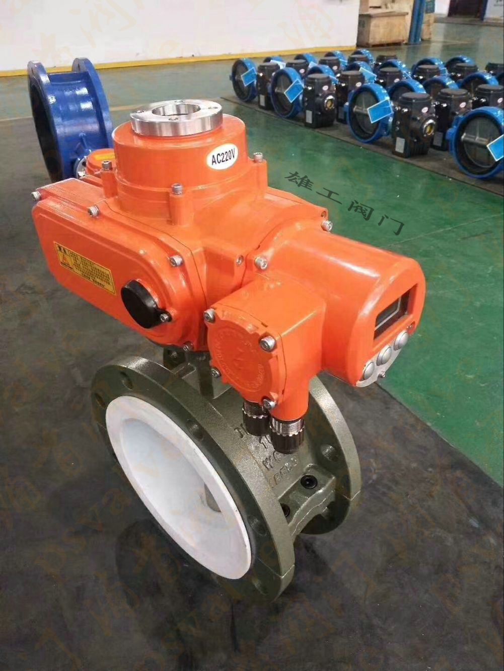 電動(dòng)對(duì)夾式蝶閥(圖2)