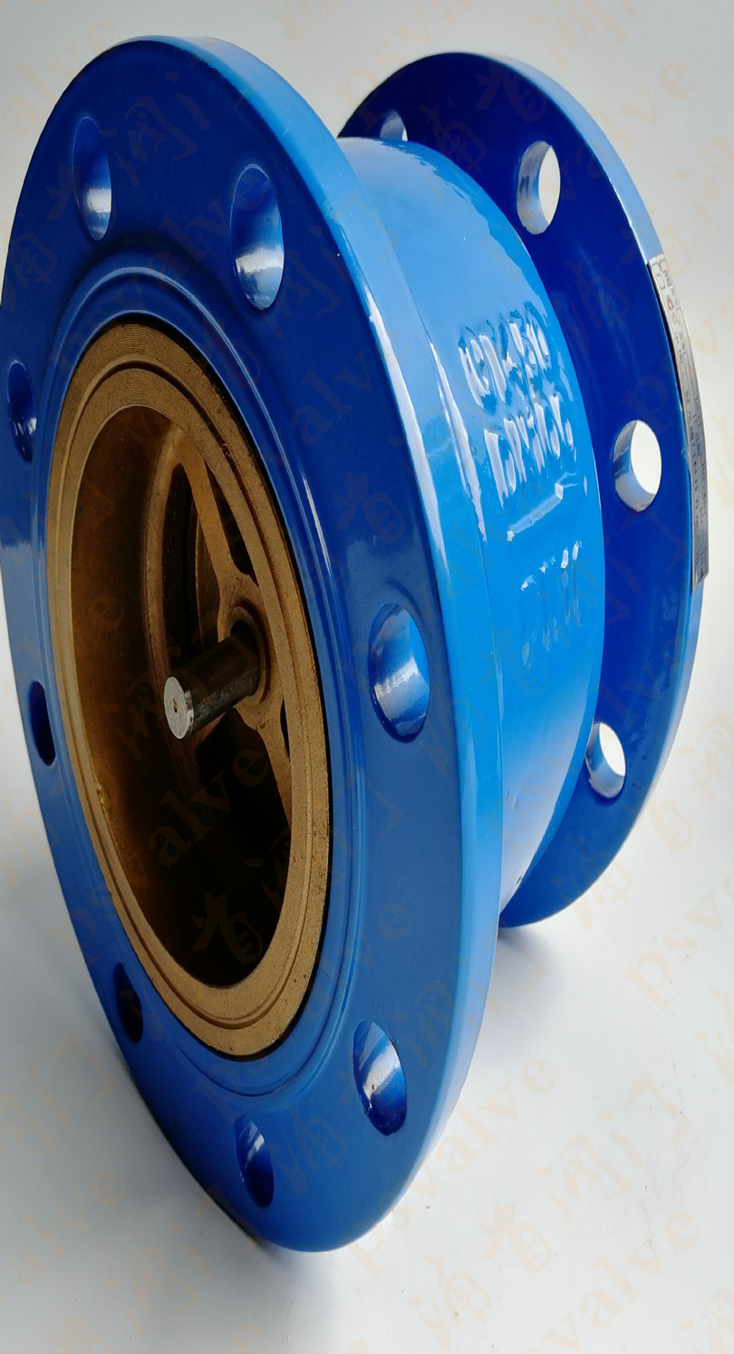 消聲止回閥(圖1)