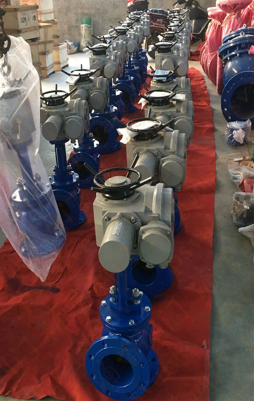 電動(dòng)角式排泥閥(圖3)