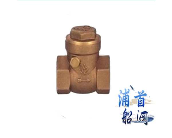青銅止回閥的作用_青銅止回閥的價(jià)格(圖2)