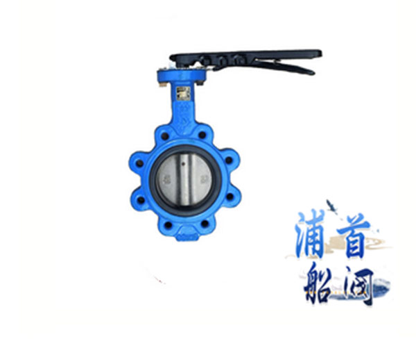 船用法蘭蝶閥結(jié)構(gòu)特點(diǎn)_止回閥的工作原理(圖2)